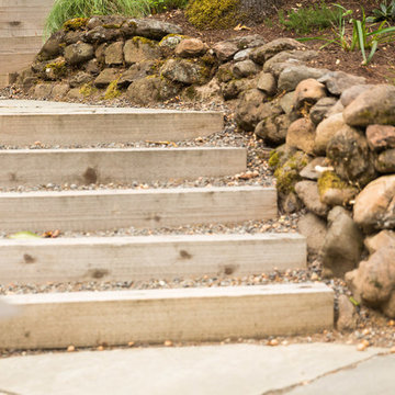 Cedar Steps