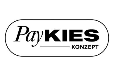 Paykies Konzept