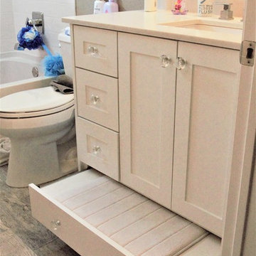 Guest and Spare Bathroom Remodel