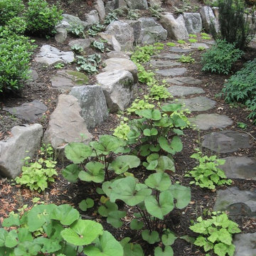 Ruxton rock garden and pathway