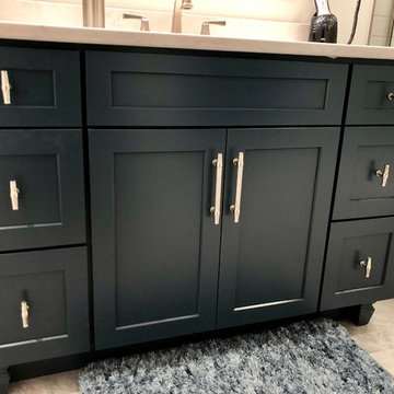 Cordova IL Master Bath Remodel Dura Supreme Hudson Gale Force Cambria Swanbridge