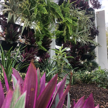 Sinnamon Park Design and Renovation