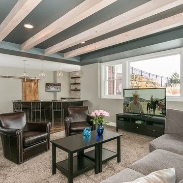 Basement TV area and Wet Bar