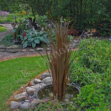 Pond