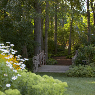 Enchanted Woodland at Wilson Point