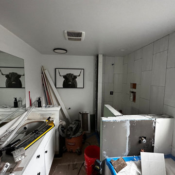 Master Bathroom Remodel