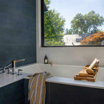 Observatory Hill Modern Victorian