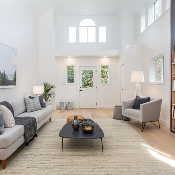 Living Room - Transitional