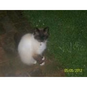 Julia Bonham's photo