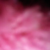 Kira Wilson's photo