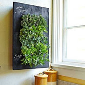 Katya Gonzalez's photo