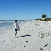 Trish Hebda's photo