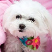 Bev Nelson Kelley's photo