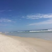David Trichilo's photo