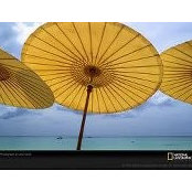 Janine Jones's photo