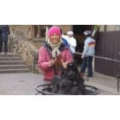 Ale Madinaさんの写真