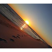 Carole Wenger's photo