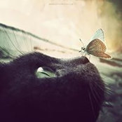 Foto von Людмила Рудакова
