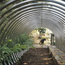 Dog Run Ideas