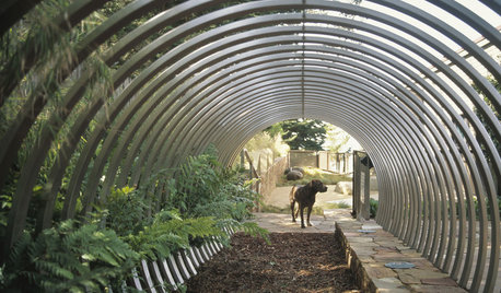 Faites de votre chien un bon voisin