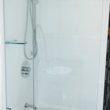Tub / Shower glass panels & shower shields
