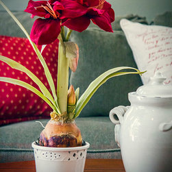 Hayes Kitchen Remodel - Artificial Flower Arrangements