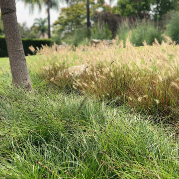 Misc- Pics from the Field