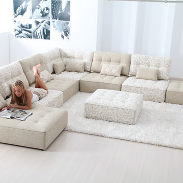Arianne Fabric Sectional Sofa by Famaliving