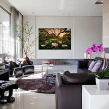 Jos house