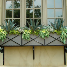 succulents