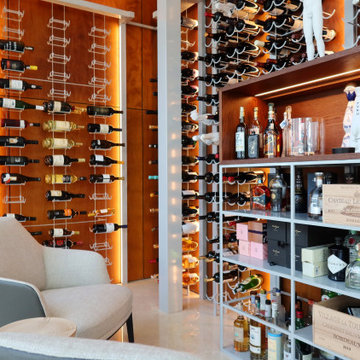 Fort Lauderdale Transitional Wine Room