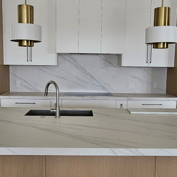 Sintered Stone Countertops and Cabinets, Book Shelf, Vanities