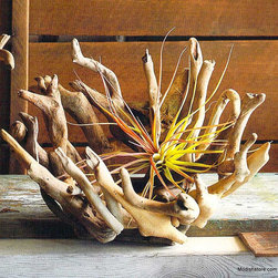 Roost Driftwood Bowls - Set/2 **Next Day Shipping - - Products