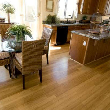 Our Work