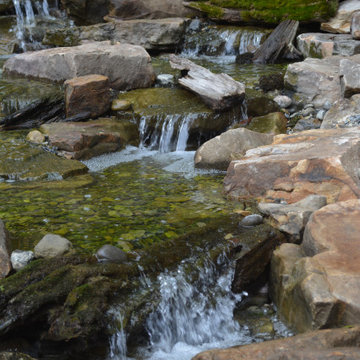 Water Garden Design