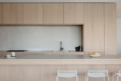 Large contemporary single-wall kitchen in Sydney with with island.