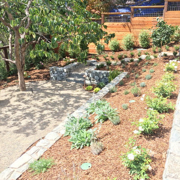 Hillside terrace