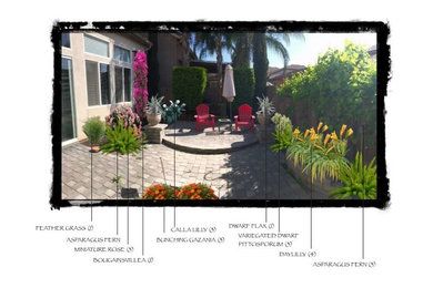 Backyard Patio
