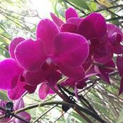 Melissa Winko's photo