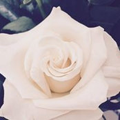 Lee Pallotta's photo