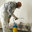 Eugene Mold Pros