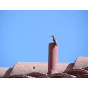 Margaret Yohe's photo