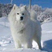 Benoit Lefebvre's photo