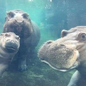 Christian Feuerstein's photo