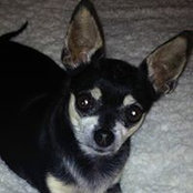 Joanie Dixon's photo