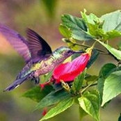 Debbie Lott's photo