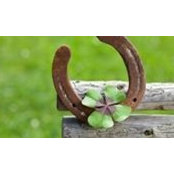 Ginny Murphy's photo