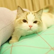 戴月's photo