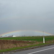 Elena M's photo