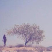 Mina Lee's photo